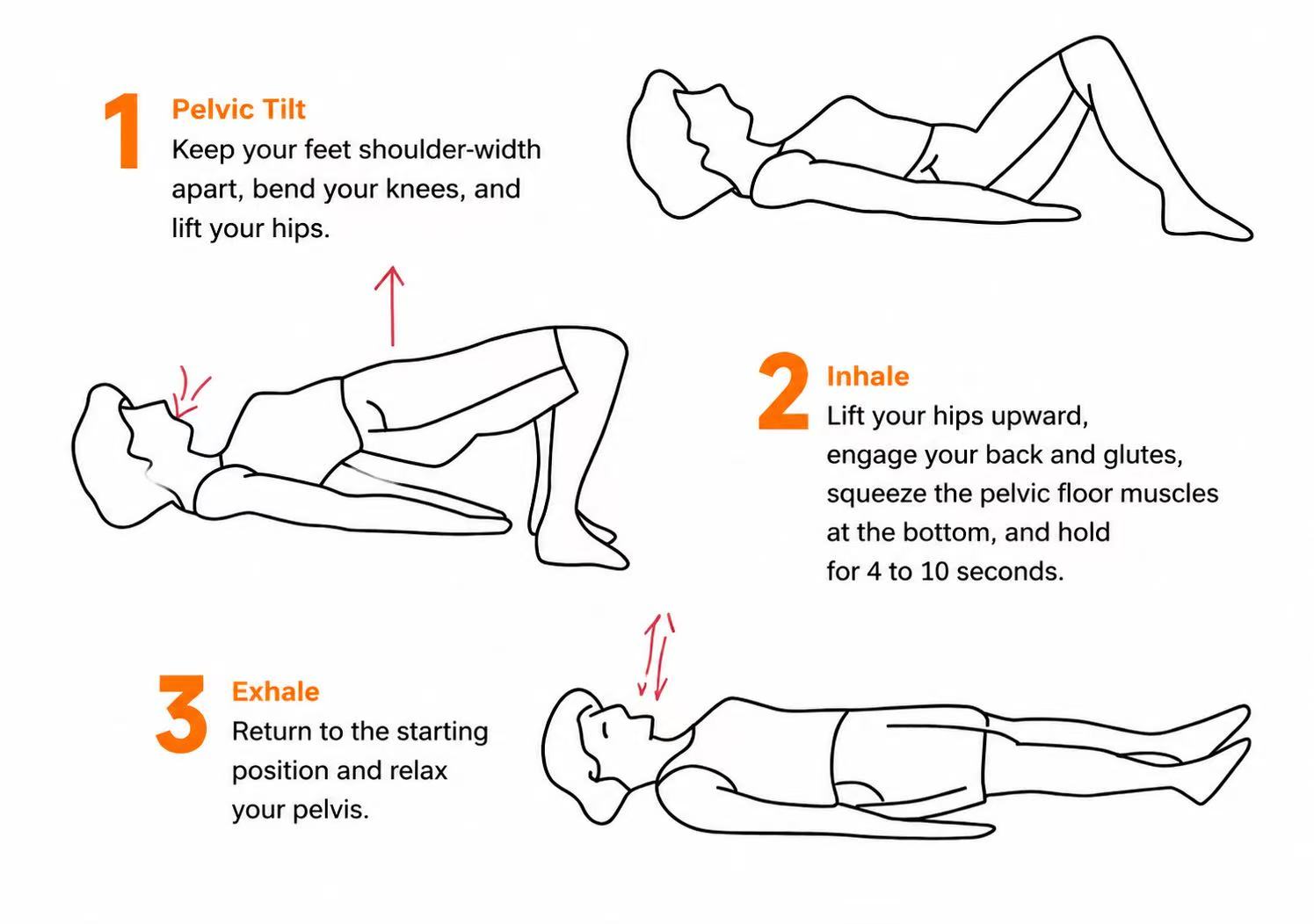 Pelvic Floor Exercise Guide